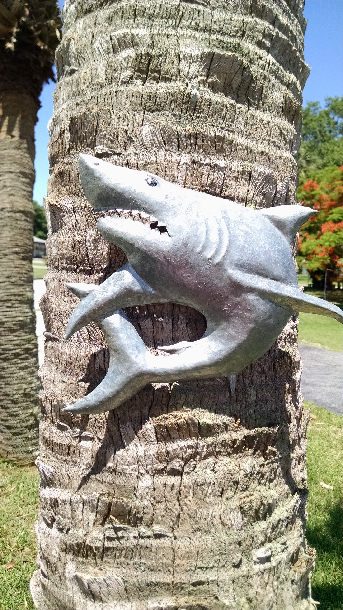 Shark-Inspired Tree Sculpture